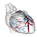 Heart WebGl for GostaP